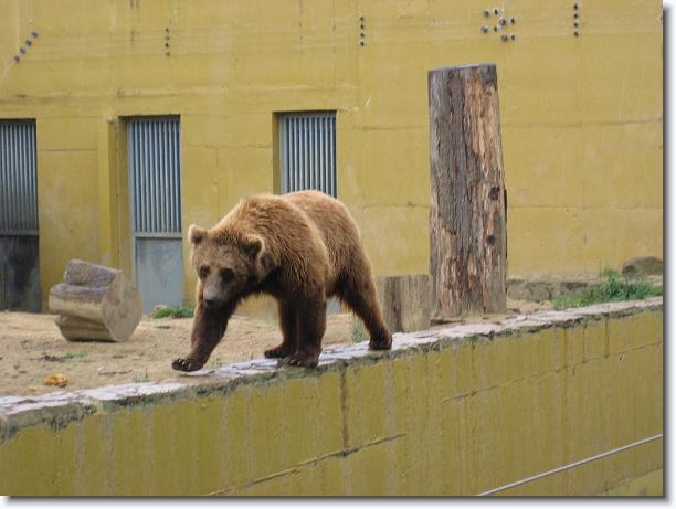 Diapositiva siguiente